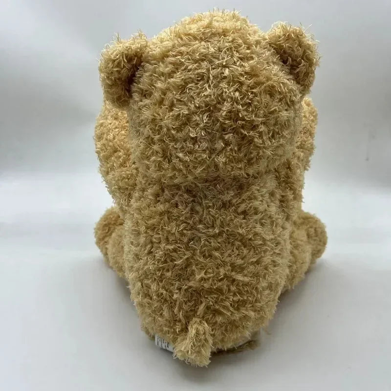 Bear Hide and Seek Toy