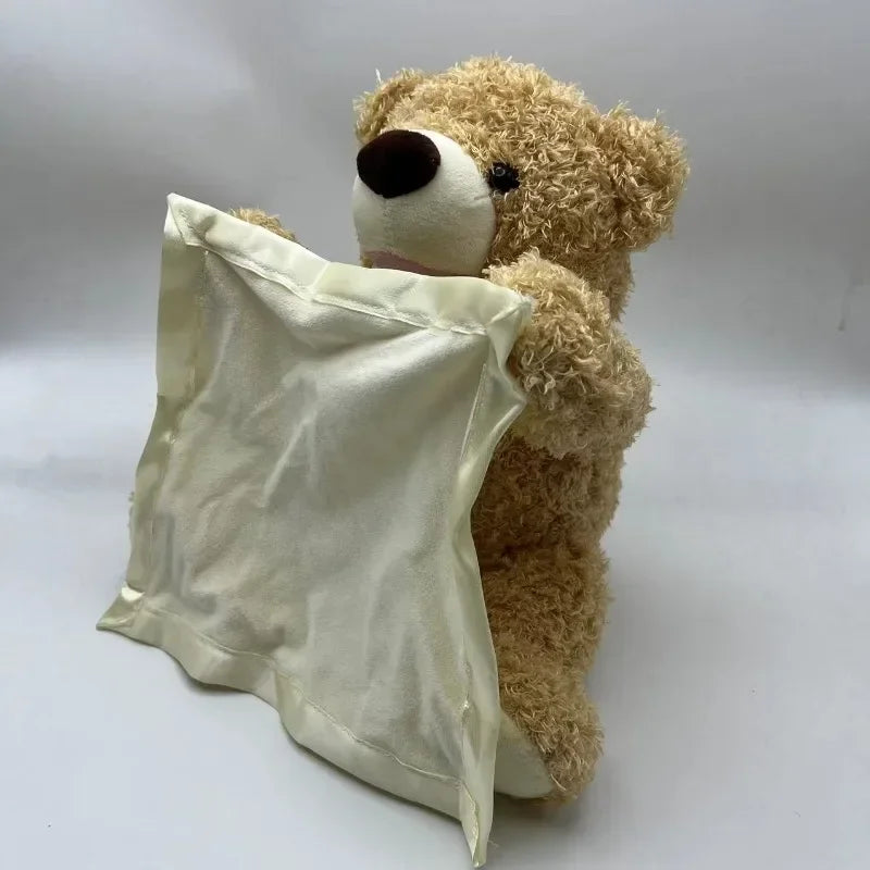 Bear Hide and Seek Toy