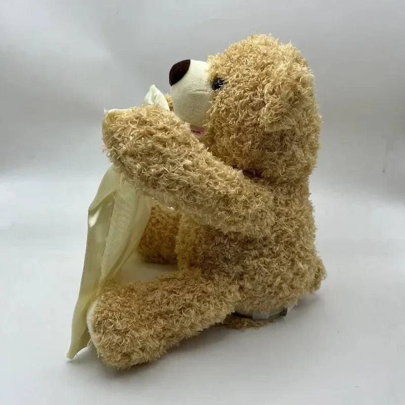 Bear Hide and Seek Toy