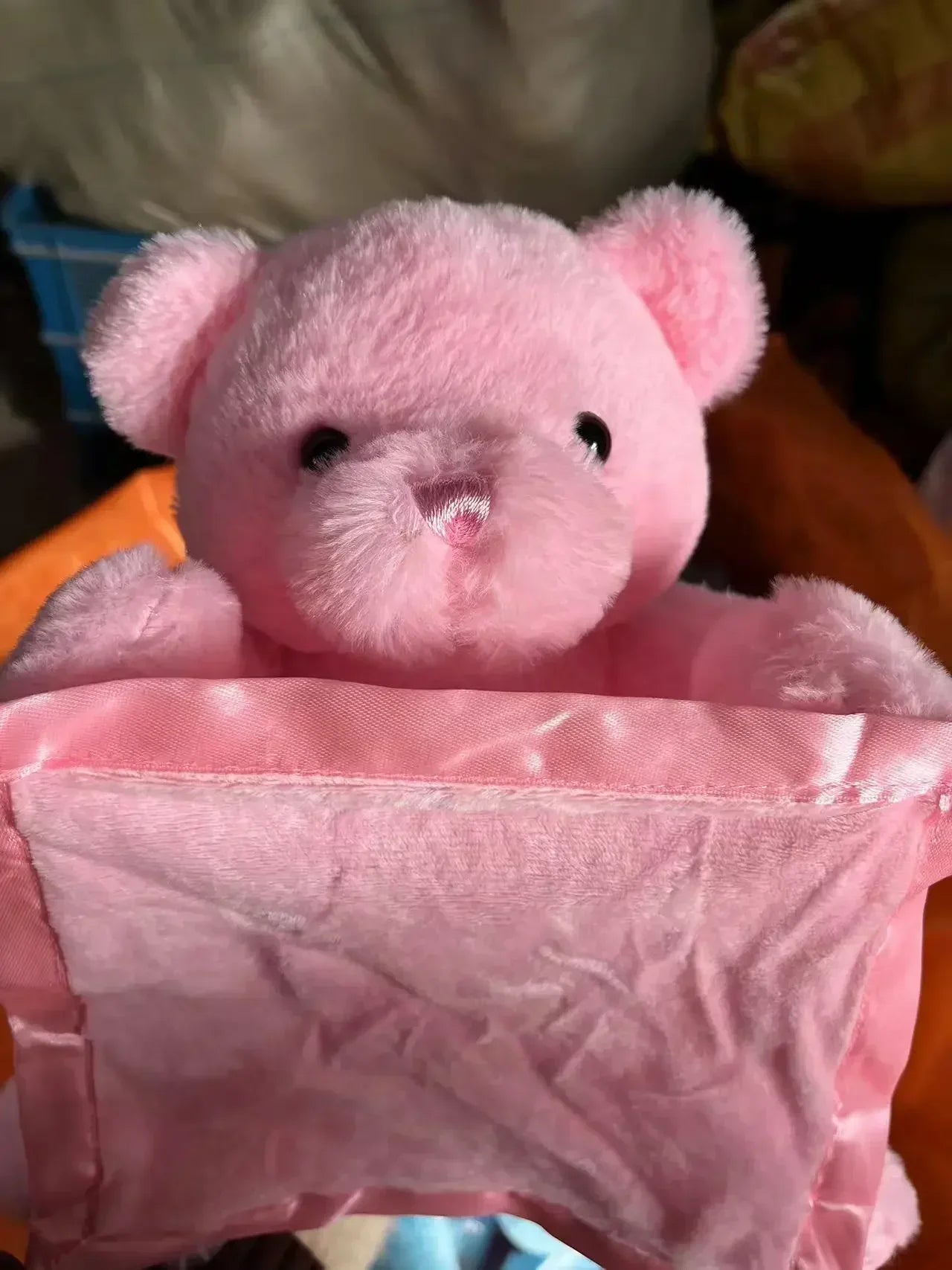 Bear Hide and Seek Toy