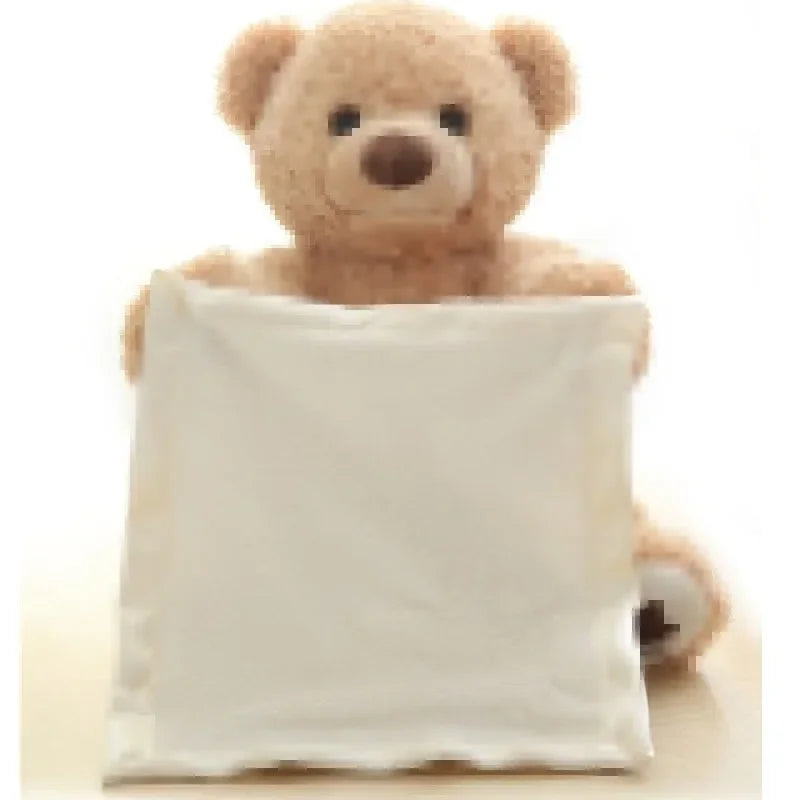 Bear Hide and Seek Toy