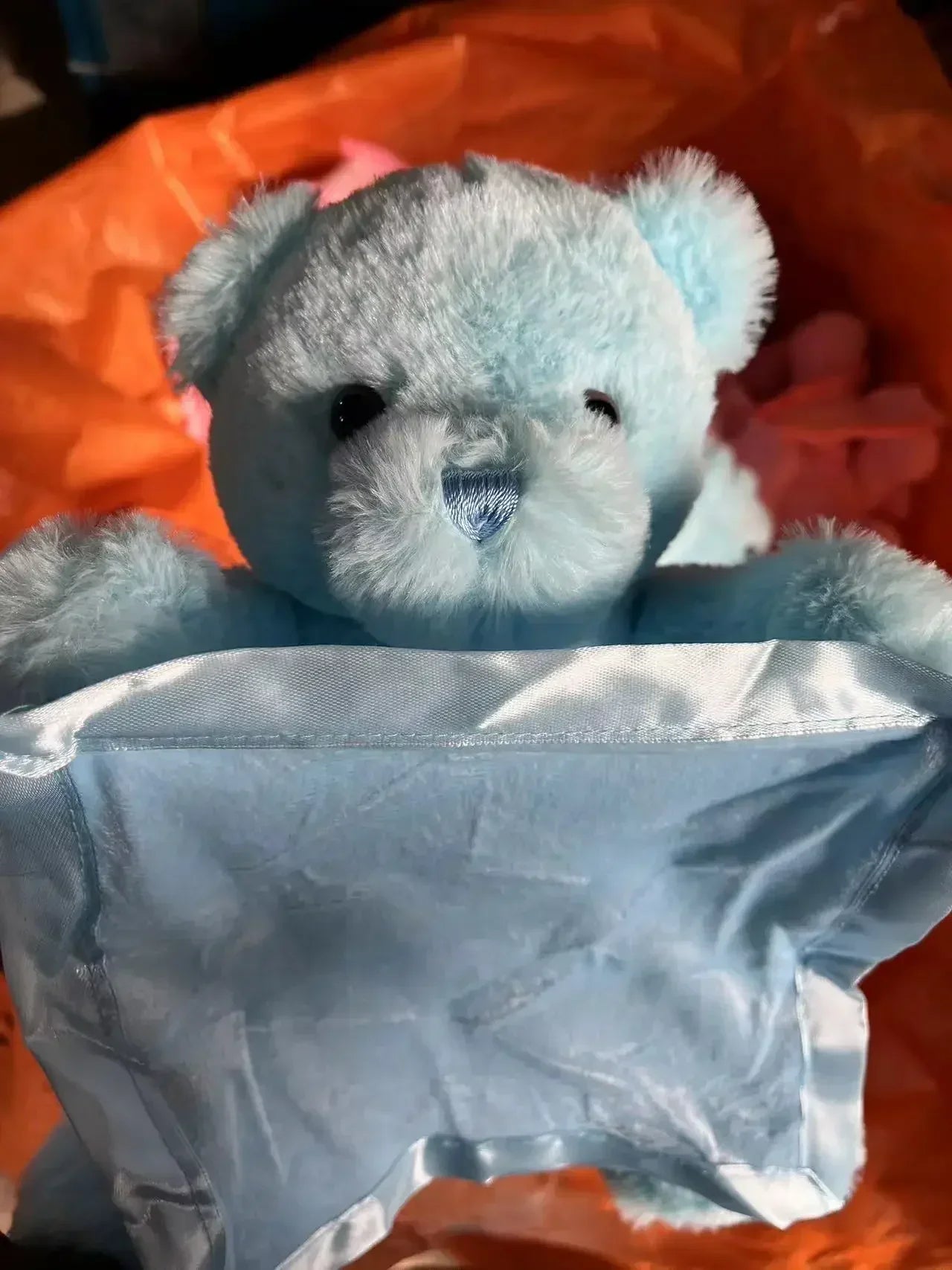 Bear Hide and Seek Toy