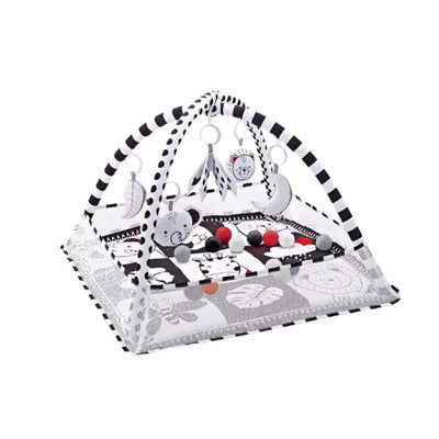 Gyms Bed