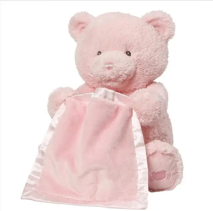 Bear Hide and Seek Toy