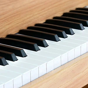 Children's Wooden Musical Instrument