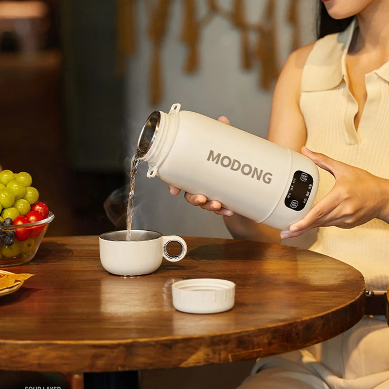 Portable Electric Kettle